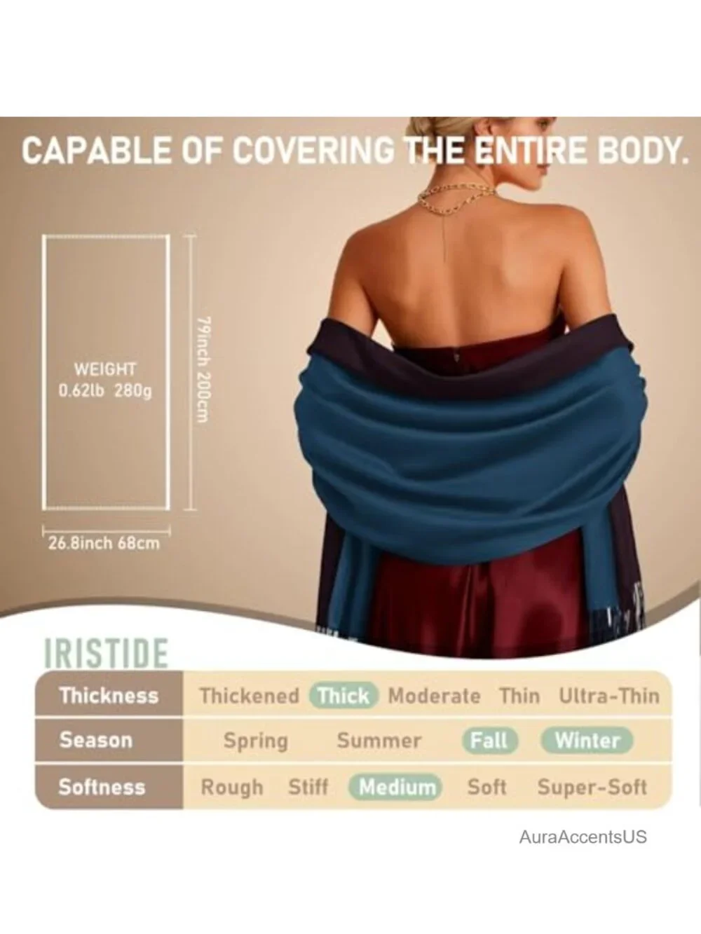 Reversible Pashmina Shawl Wrap Oversized Evening Wedding Scarf